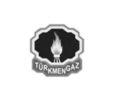 TURKMEN GAZ